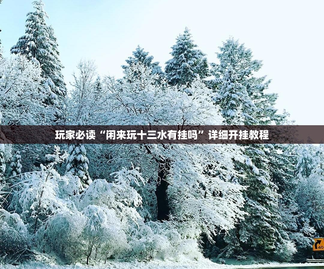 玩家必读“闲来玩十三水有挂吗”详细开挂教程