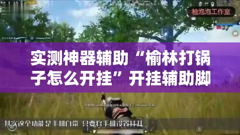 实测神器辅助“榆林打锅子怎么开挂”开挂辅助脚本+详细开挂安装教程