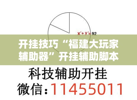 开挂技巧“福建大玩家辅助器”开挂辅助脚本+详细开挂安装教程