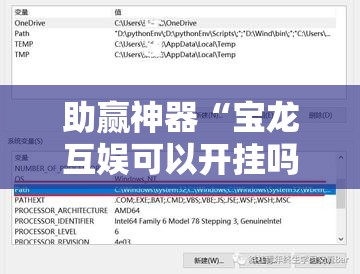 助赢神器“宝龙互娱可以开挂吗”细辅助教程分享