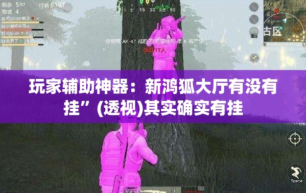 玩家辅助神器：新鸿狐大厅有没有挂”(透视)其实确实有挂