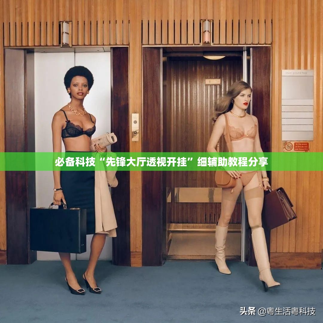 必备科技“先锋大厅透视开挂”细辅助教程分享