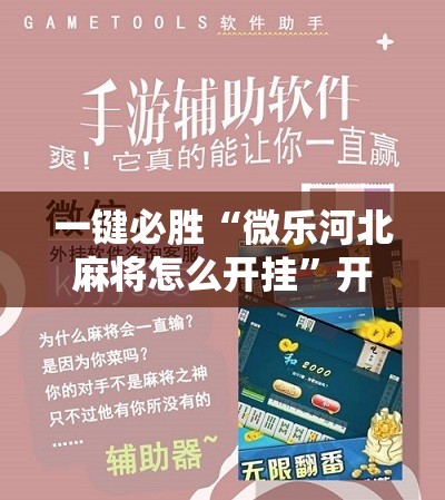 一键必胜“微乐河北麻将怎么开挂”开挂辅助脚本+详细开挂安装教程