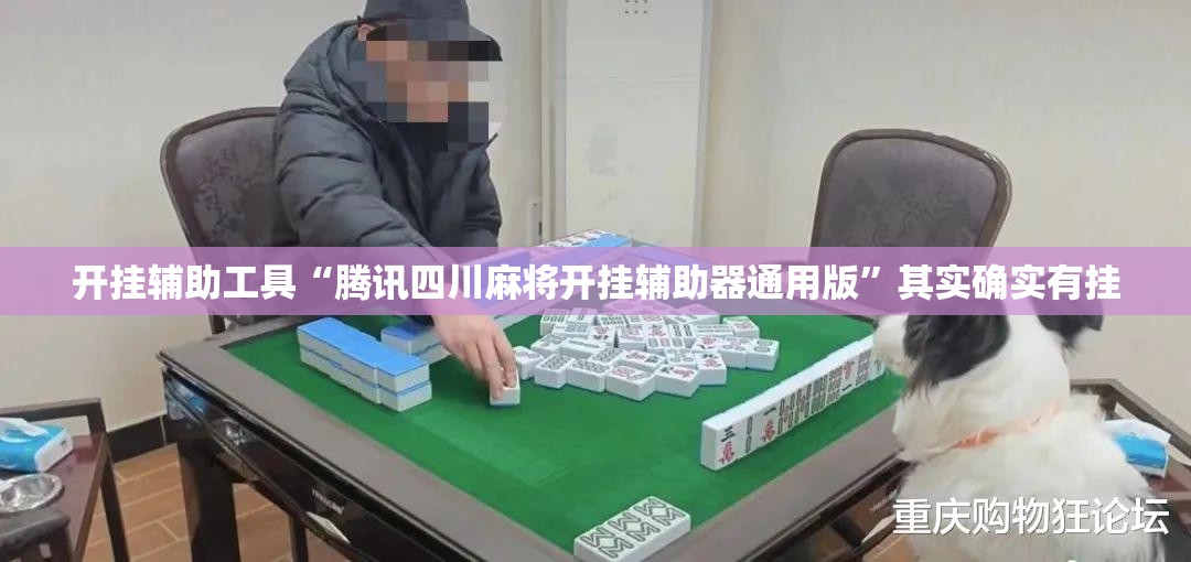 开挂辅助工具“腾讯四川麻将开挂辅助器通用版”其实确实有挂