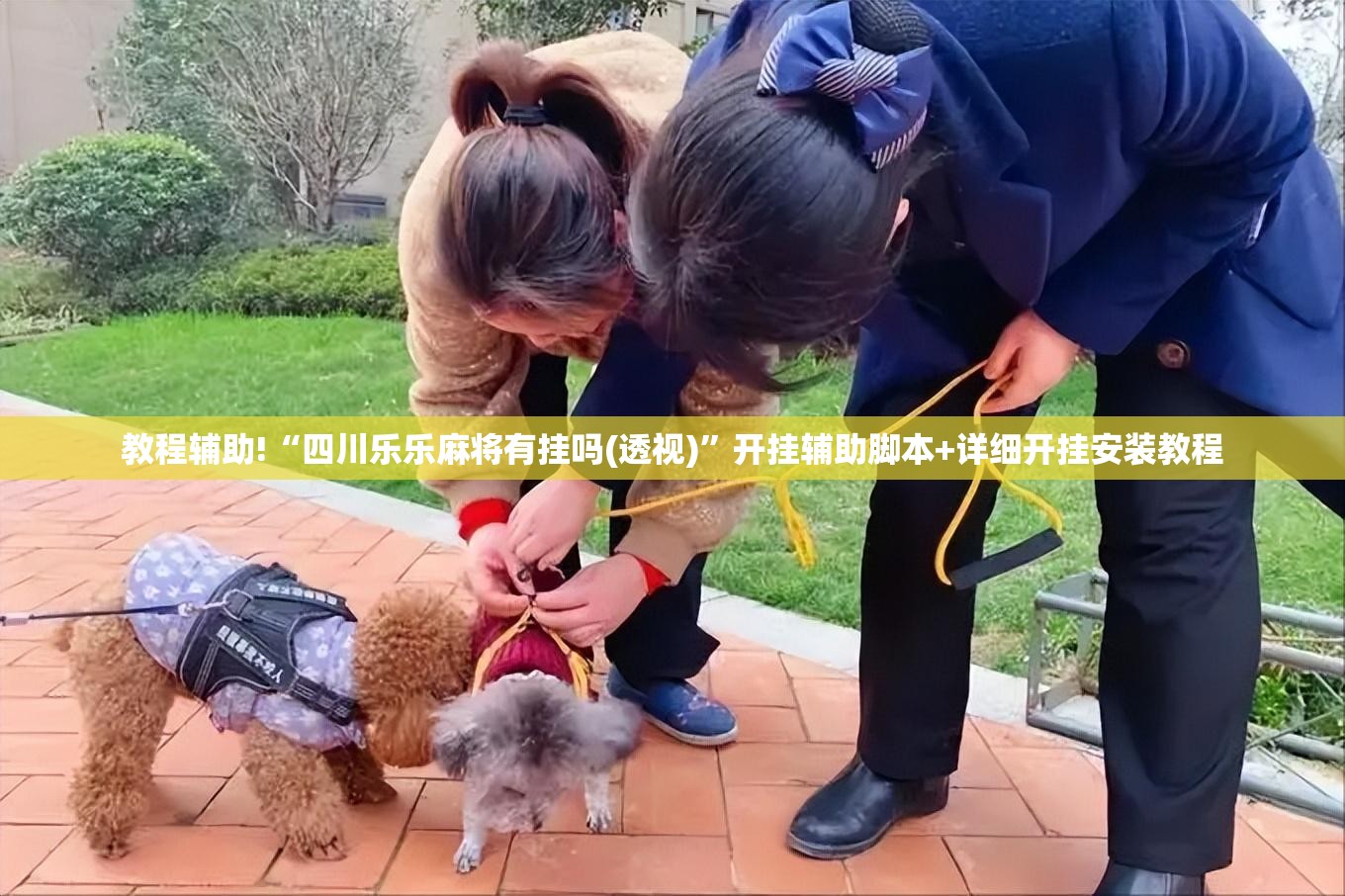 教程辅助!“四川乐乐麻将有挂吗(透视)”开挂辅助脚本+详细开挂安装教程