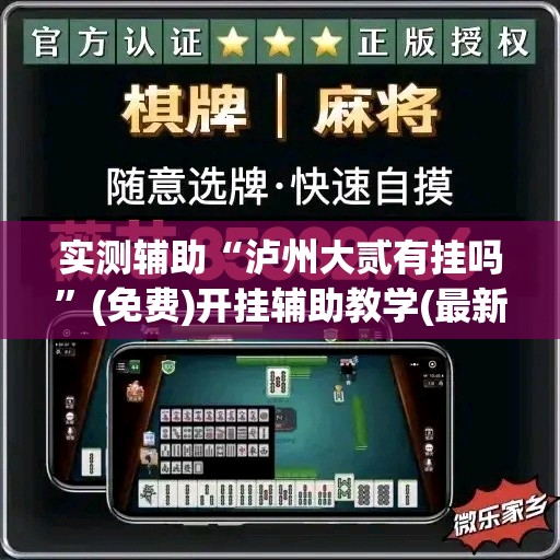 实测辅助“泸州大贰有挂吗”(免费)开挂辅助教学(最新辅助开挂教程)