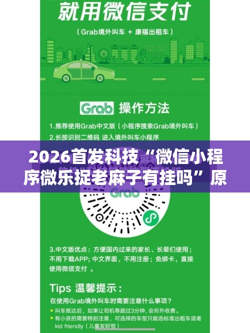 2026首发科技“微信小程序微乐捉老麻子有挂吗”原来可以开挂