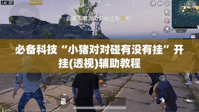 必备科技“小猪对对碰有没有挂	”开挂(透视)辅助教程