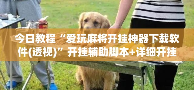 今日教程“爱玩麻将开挂神器下载软件(透视)”开挂辅助脚本+详细开挂安装教程