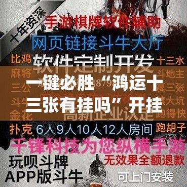 一键必胜“鸿运十三张有挂吗”开挂(透视)辅助教程