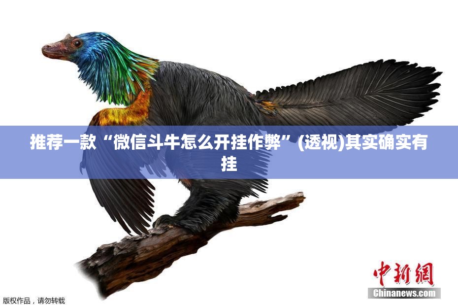 推荐一款“微信斗牛怎么开挂作弊”(透视)其实确实有挂