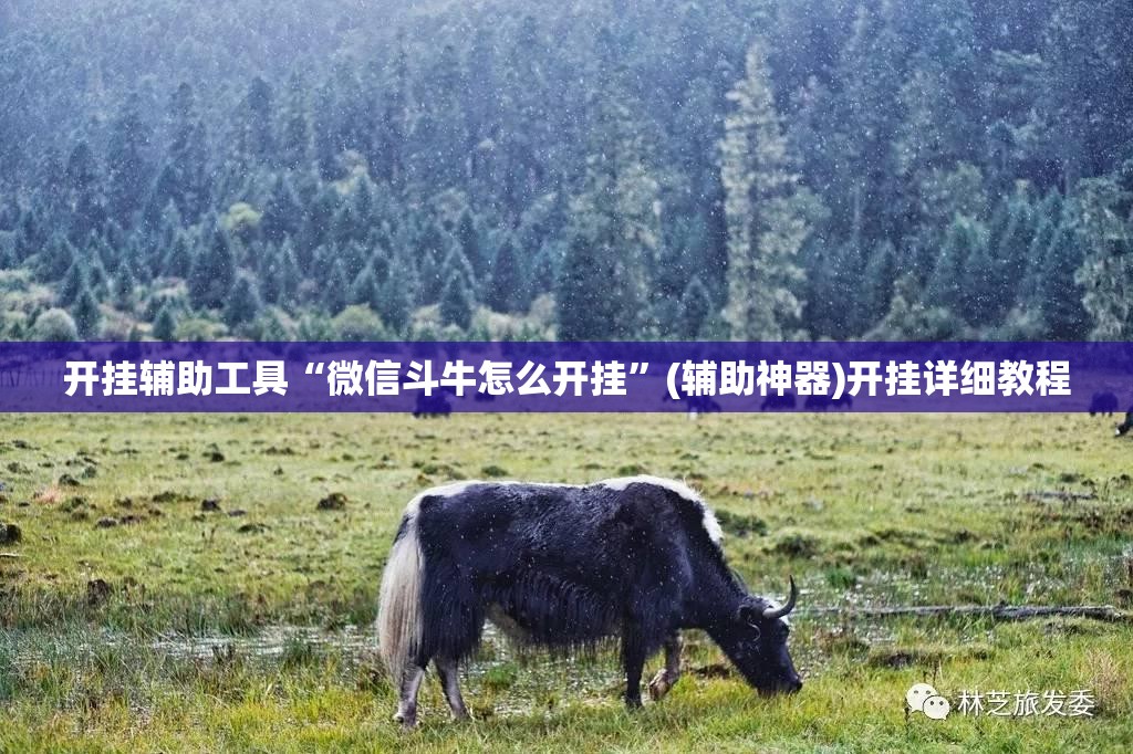 开挂辅助工具“微信斗牛怎么开挂”(辅助神器)开挂详细教程