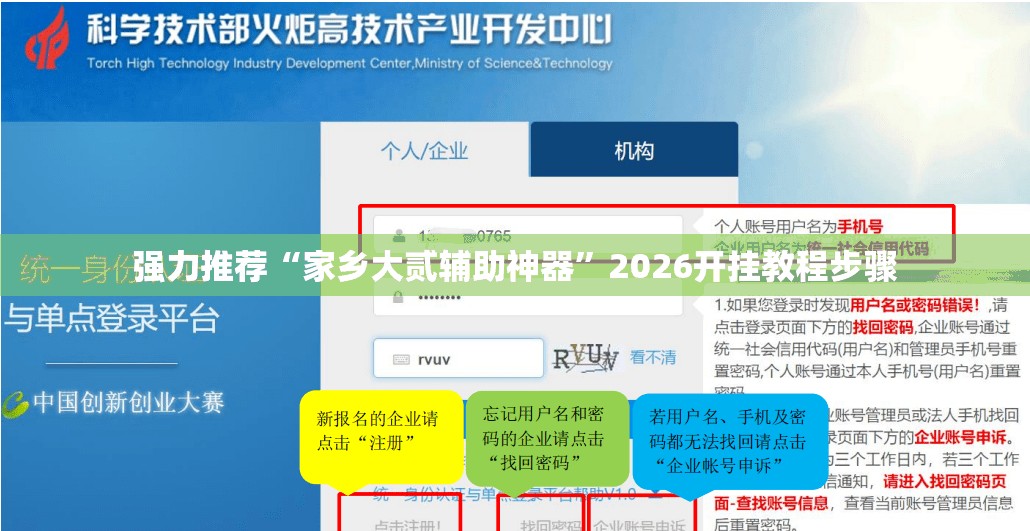 强力推荐“家乡大贰辅助神器”2026开挂教程步骤