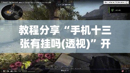 教程分享“手机十三张有挂吗(透视)”开挂辅助脚本+详细开挂安装教程