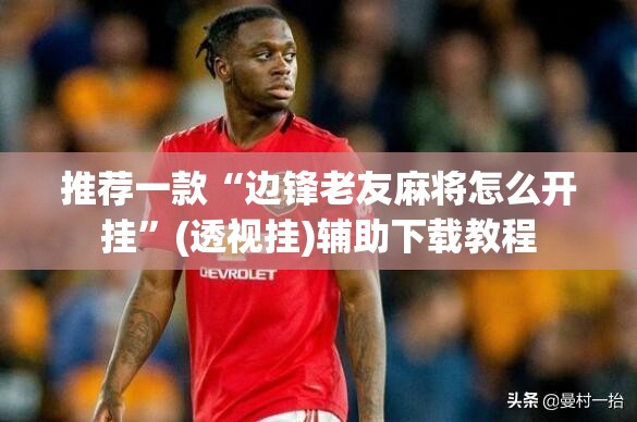 推荐一款“边锋老友麻将怎么开挂”(透视挂)辅助下载教程