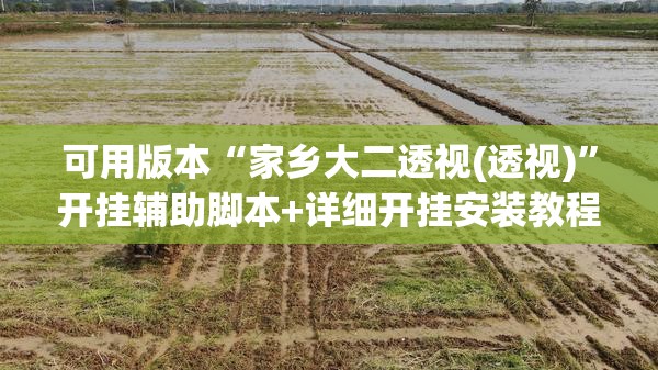 可用版本“家乡大二透视(透视)”开挂辅助脚本+详细开挂安装教程