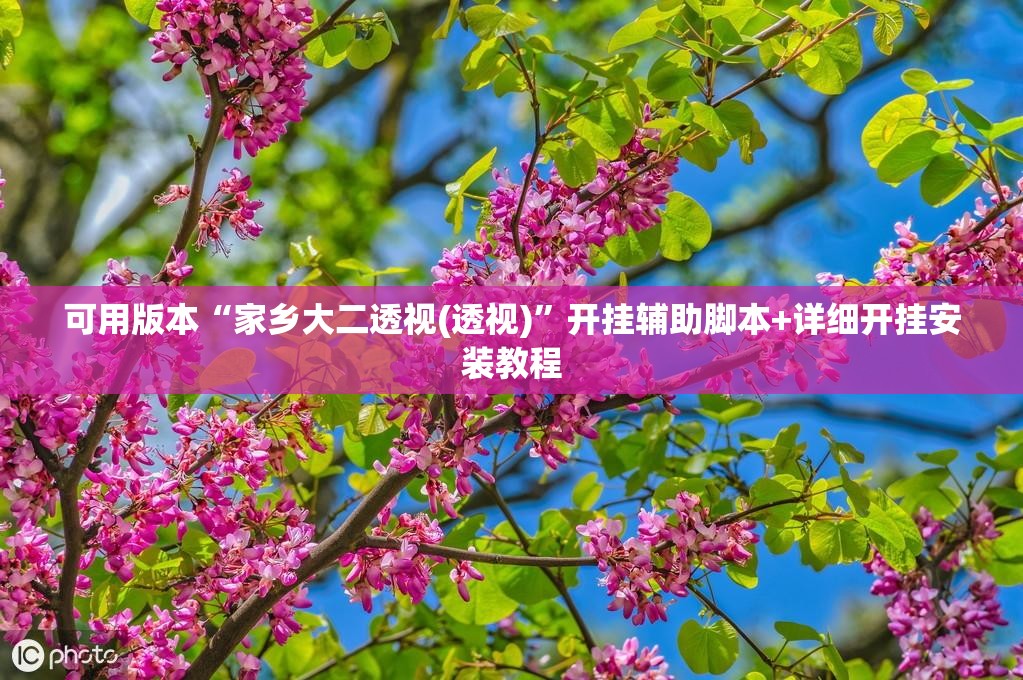 可用版本“家乡大二透视(透视)	”开挂辅助脚本+详细开挂安装教程