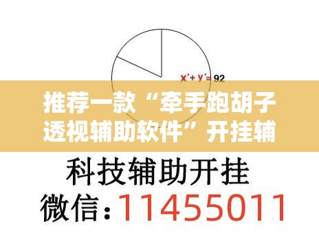 推荐一款“牵手跑胡子透视辅助软件”开挂辅助脚本+详细开挂安装教程
